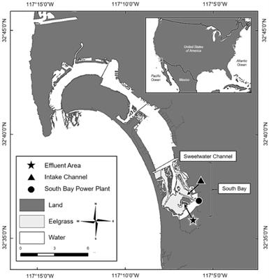 Finding Crush: Environmental DNA Analysis as a Tool for Tracking the Green Sea Turtle Chelonia mydas in a Marine Estuary